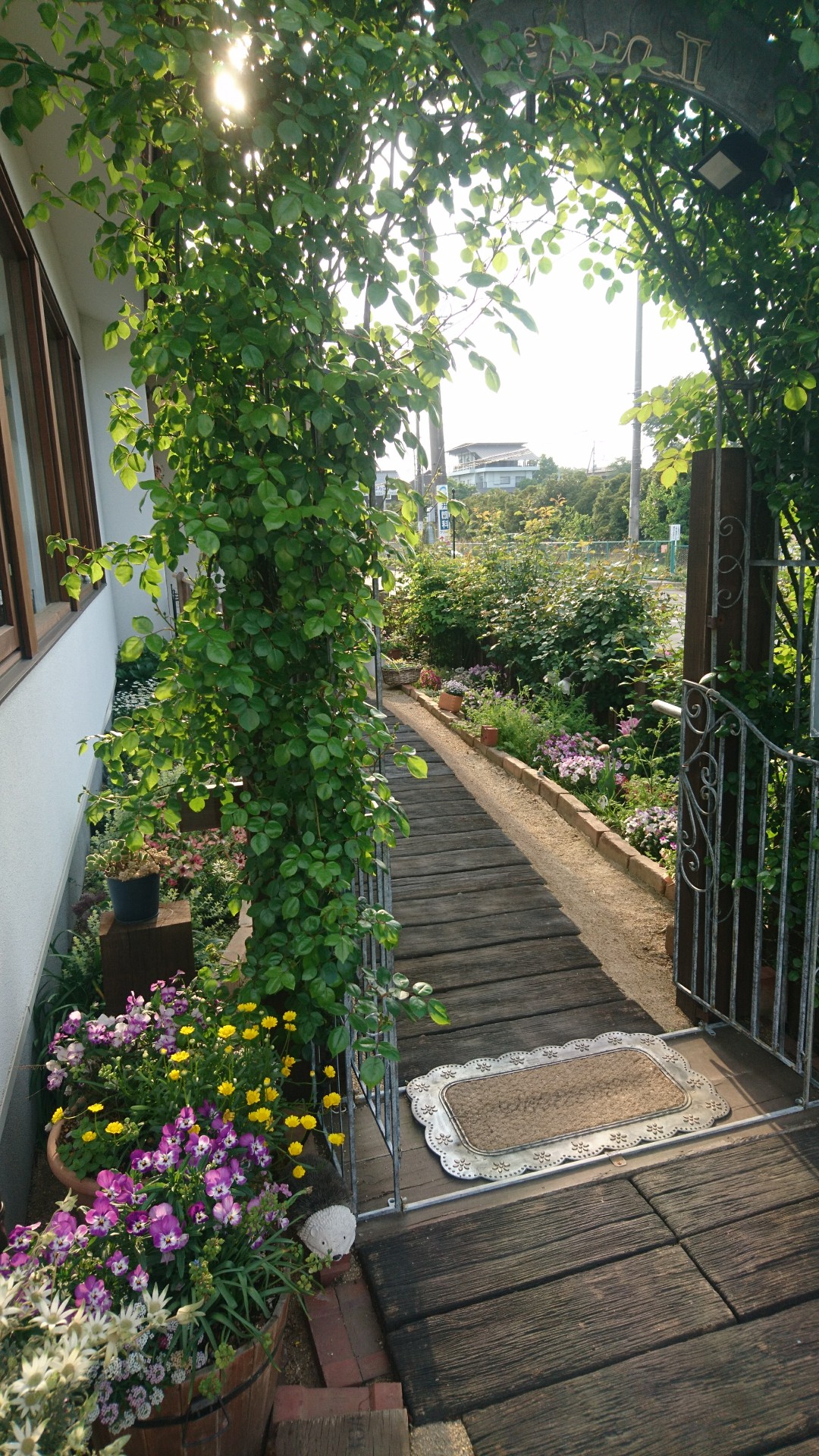 オープン ガーデン 埼玉県さいたま市見沼区のギャラリーカフェ エソラ 個展開催 安らぎの喫茶店